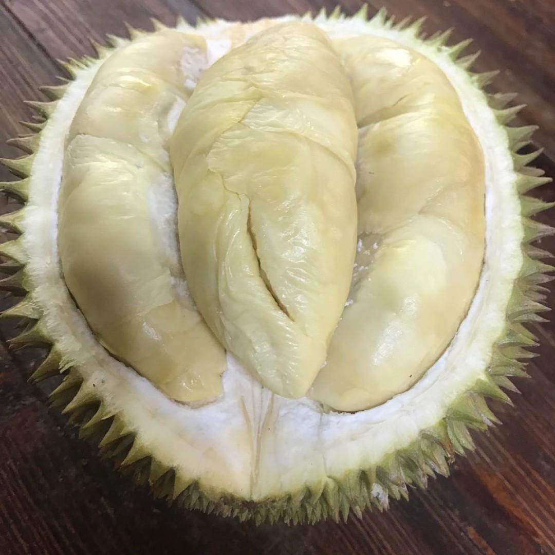 Saintifik durian nama Durian Monthong